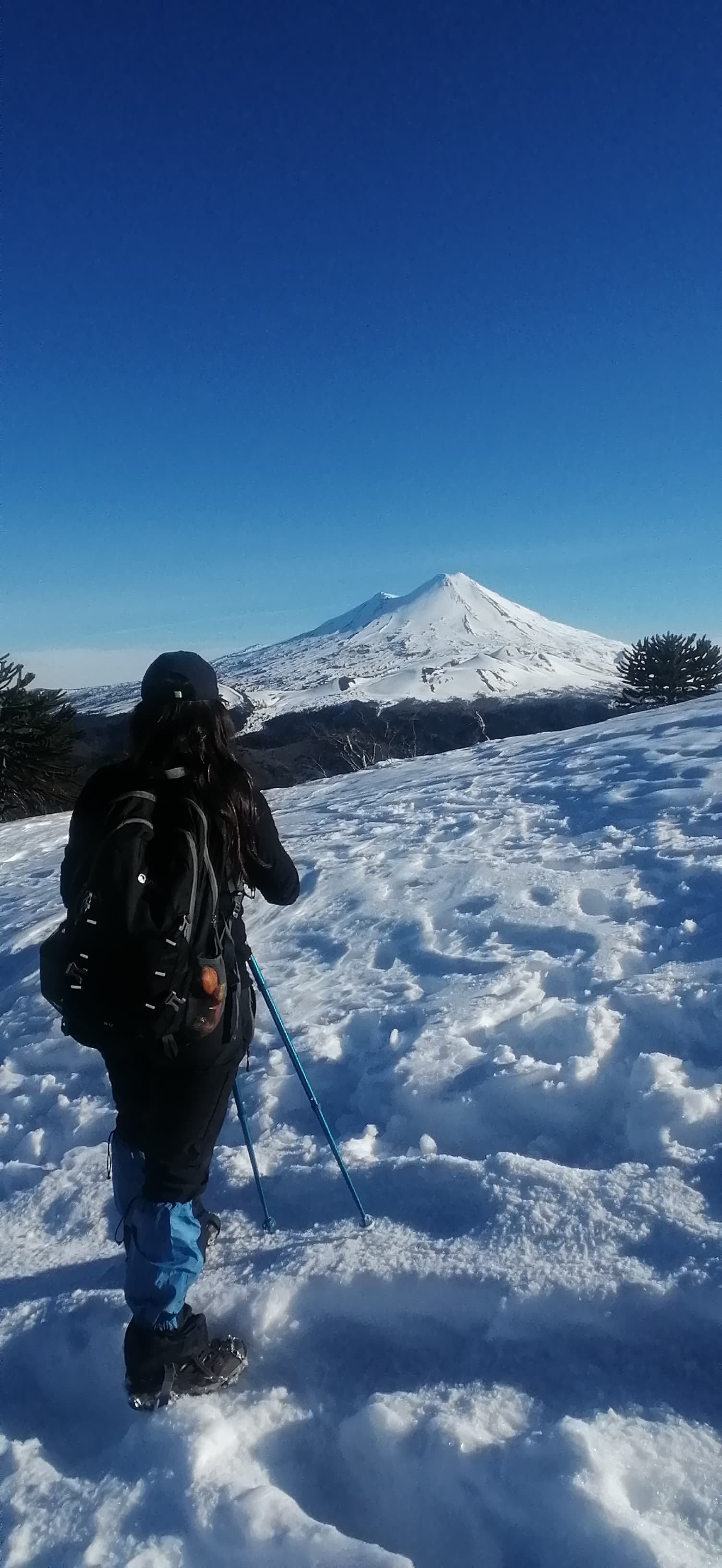 Parque Nacional Conguillío — Sierra Nevada