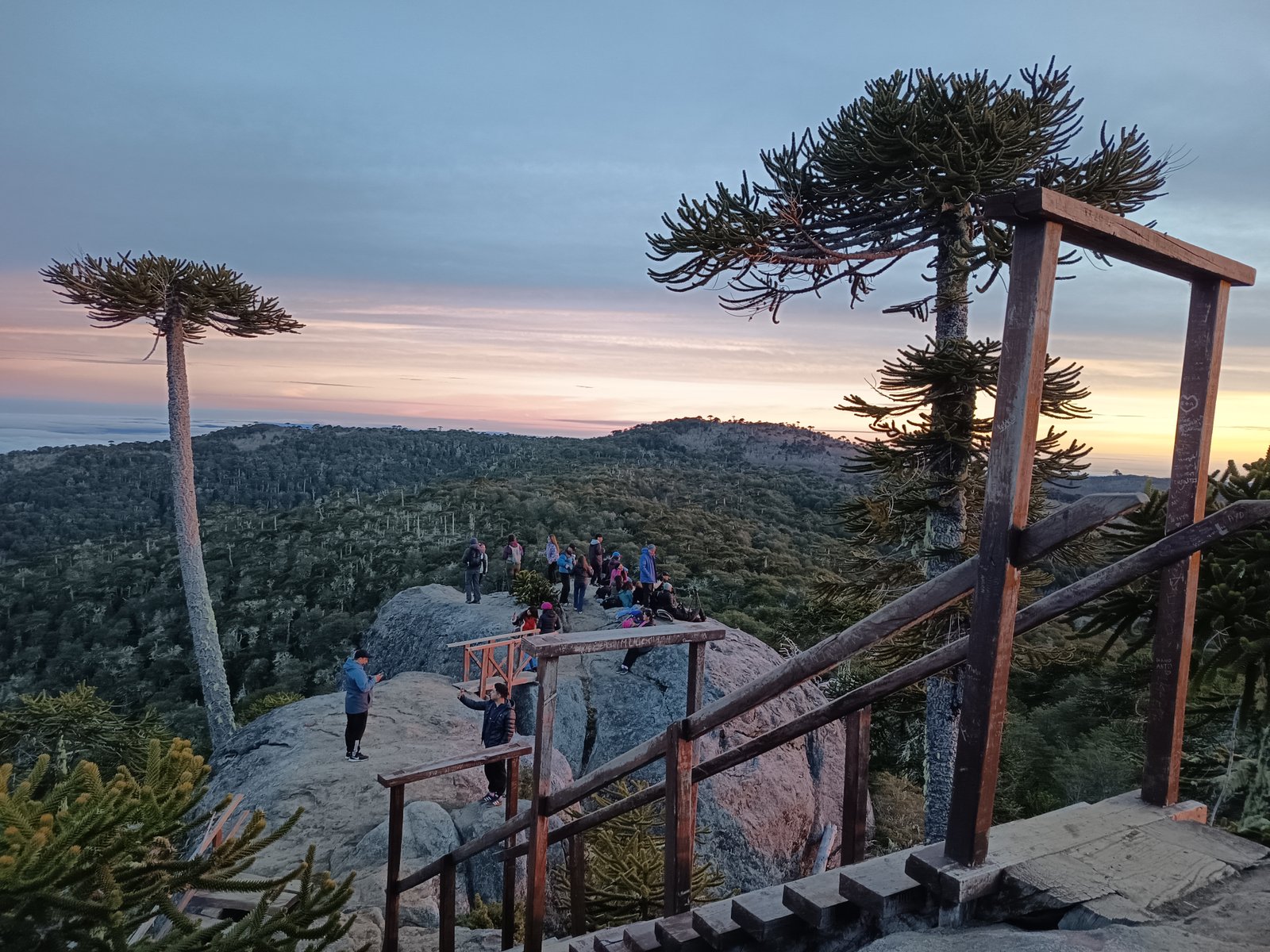 Parque Nacional Nahuelbuta